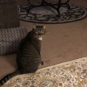 Meet your Posher, Sharon